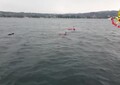 Si ribalta una house-boat sul Lago Maggiore, quattro vittime