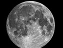 La Super Luna fotografata da Massimo Brizzi (fonte: Massimo Brizzi) (ANSA)