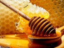 Agricoltori Ue, il 20% del miele è adulterato (ANSA)