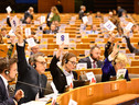 Nuovo centro Ue per promuovere la democrazia partecipativa (ANSA)
