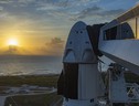 Slitta di un mese lancio cargo Dragon di SpaceX sulla Iss (fonte: Space X) (ANSA)