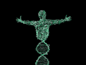 L'evoluzione umana continua la sua corsa, spuntati 155 nuovi geni (fonte: Pixabay) (ANSA)