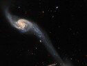 Il ponte intergalattico ripreso da Hubble (fonte: ESA/Hubble & NASA, Dark Energy Survey/DOE/FNAL/DECam/CTIO/NOIRLab/NSF/AURA, J. Dalcanton) (ANSA)