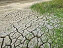 Desertificazione: Legambiente,in Italia 4 siccità in 25 anni (ANSA)