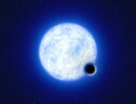 Rappresentazione artistica del sistema binario VFTS 243, formato dal buco nero dormiente e da una stella compagna massiccia; l'immagine non è in scala, poiché la stella dovrebbe essere 200mila volte più grande del buco nero (fonte: ESO/L. Calçada) (ANSA)