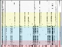 Il sequenziamento del genoma virale isolato da 140 persone tra aprile 2020 e agosto 2021 (fonte: Ricky Chan) (ANSA)