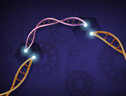 Rappresentazione grafica della tecnica Crispr che riscrive il Dna (fonte: Ernesto del Aguila III, National Human Genome Research Institute, NIH) (ANSA)
