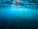 Le profondità marine sono direttamente esposte agli effetti del cambiamento climatico e potrebbero ora affrontare ulteriori sfide a causa degli sforzi per contrastarlo (fonte: Unsplash) (ANSA)