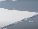 Prime immagini aeree dell’iceberg A81 (fonte: BAS) (ANSA)