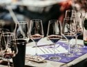 Regioni italiane unite contro etichetta sul vino (ANSA)