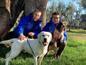 task force di cani anti-Xylella' (ANSA)