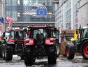 Nuova protesta dei trattori a Bruxelles, domani attesi in 300 (ANSA)