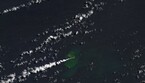 La nuova isola nata nell’oceano Pacifico (fonte: immagine di Nasa Earth Observatory presa da L. Dauphin, dati Landast di USGS) (ANSA)