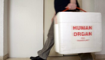Trapianti: nel 2022 record di donazioni di organi, +3,7% (ANSA)