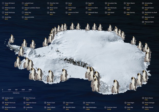 Mappa delle colonie di pinguini imperatore in Antartide  (fonte: British Antarctic Survey) © Ansa