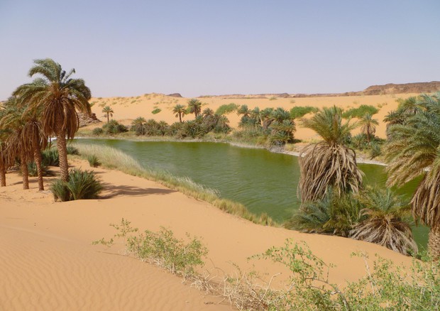 Progetto, sensibilizzare le comunità di Marocco, Mauritania, Tunisia ed Europa su come combattere il cambiamento climatico nelle oasi © ANSA