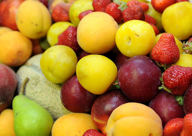 Caldo spinge i consumi di frutta, ecco i 5 prodotti top © ANSA 