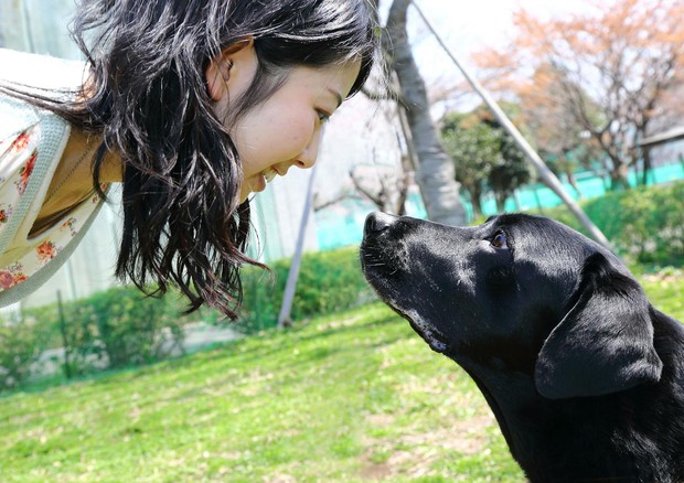 L'amore tra cane e padrone nasce dallo sguardo (fonte: Mikako Mikura) © Ansa