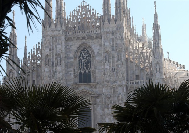 Milano: palme in piazza Duomo per area verde © ANSA