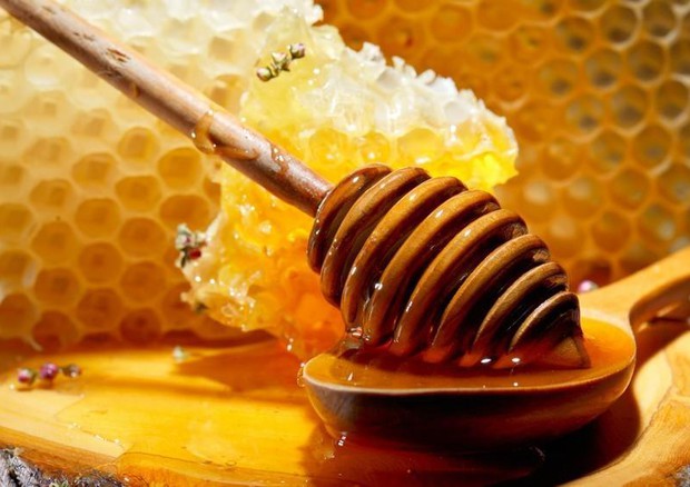 Agricoltori Ue, il 20% del miele è adulterato © ANSA