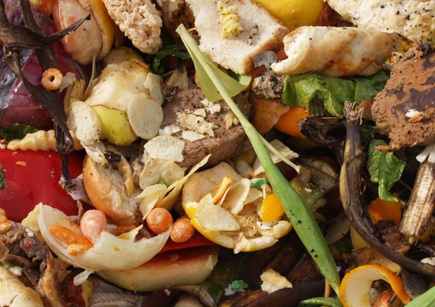 Stop spreco cibo, in 3 anni raggiunti 500mila consumatori © ANSA