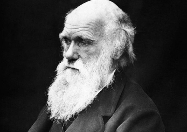 Charles Darwin (fonte: University of Tasmania) (ANSA)