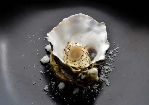 L'ostrica sposa la burrata nel Ferragosto degli chef © ANSA