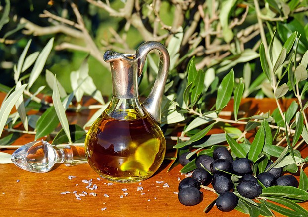 L'Olio d'oliva fa cultura. Parte l'Extravergine Tour tra segreti e assaggi (fonte: Pixabay) © Ansa