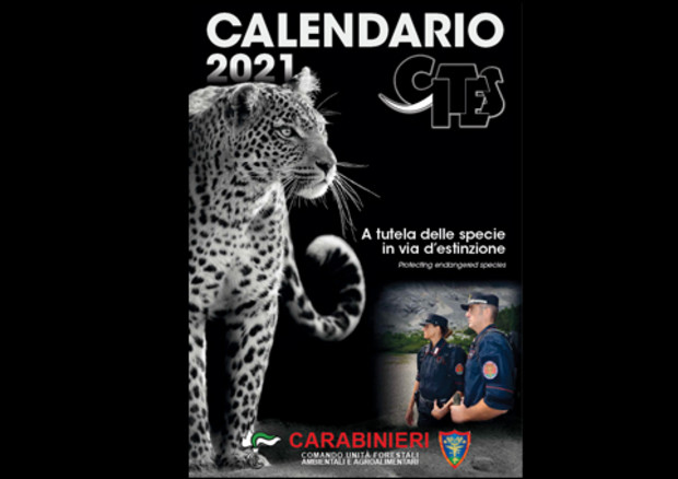 Calendario 2021 dei Carabinieri del Cites  © Ansa