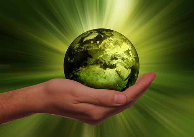 Il 2022 anno ricerca di base per lo sviluppo sostenibile (Fonte: Geralt, Pixabay) (ANSA)