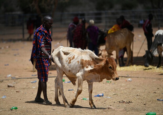 Oms-Unicef-Banca mondiale, 2 mld senza acqua potabile sicura © AFP
