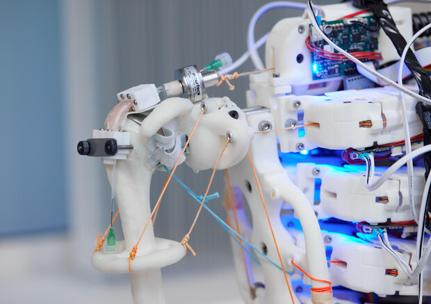 Il bioreattore installato in un robot umanoide per fabbricare tendini umani destinati ai trapianti (fonte: Fisher Studios) © Ansa