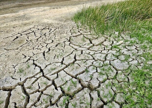Desertificazione: Legambiente,in Italia 4 siccità in 25 anni © ANSA