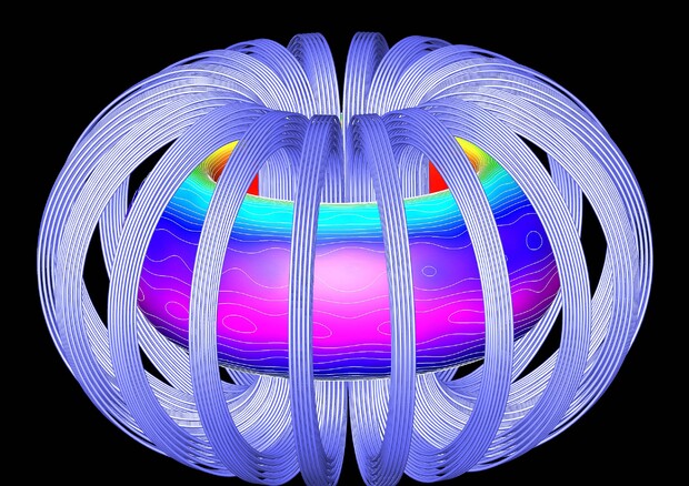 Rappresentazione artistica del plasma in un reattore a fusione nucleare (fonte: Oak Ridge National Laboratory, da Wikipedia) (ANSA)