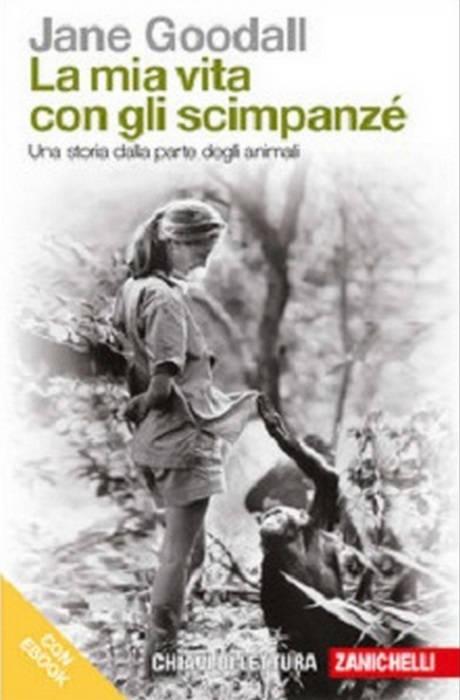 Jane Goodall, “La mia vita con gli scimpanzé. Una storia dalla parte degli animali” (Zanichelli, 176 pagine, 12,80 euro) © Ansa