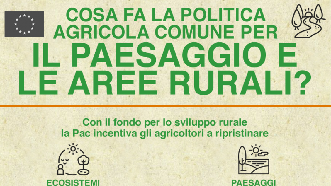 INFOGRAFICA - Cosa fa la politica agricola Ue per il paesaggio e le aree rurali? - RIPRODUZIONE RISERVATA