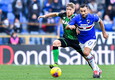 Serie A: Sampdoria-Sassuolo 0-0  © ANSA