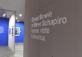 Torino, la mostra che celebra David Bowie, Steve Schapiro e i diritti civili (ANSA)