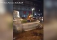Napoli, turista inglese fa bagno in una fontana: il video diventa virale (ANSA)