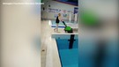 Sport, da Ct della Nazionale di nuoto di fondo ad addetto alle pulizie della piscina(ANSA)