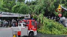 Maltempo: temporale Catania, alberi caduti, giù recinzioni (ANSA)