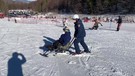I poliziotti della scuola alpina di Moena sciano con i ragazzi portatori di disabilita'(ANSA)