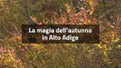 La magia dell'autunno in Alto Adige (ANSA)