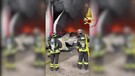 Incendio nell'azienda Bottecchia nel Veneziano, l'intervento dei vigili del fuoco(ANSA)