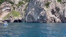 Danze e piroette nel mare di Capri, delfini sorprendono i turisti