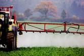 Corte Conti Ue, Pac faccia di più su riduzione dei pesticidi (ANSA)