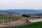 Agricoltori Ue, velocizzare ok a pesticidi a basso rischio (ANSA)