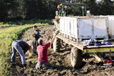 BANDO Abruzzo: Aiuto all'avviamento di imprese per giovani agricoltori (ANSA)