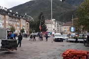 E' arrivato l'albero di Natale in piazza Walther a Bolzano