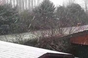Nevica in pianura sul Veneto, fiocchi bianchi a Padova